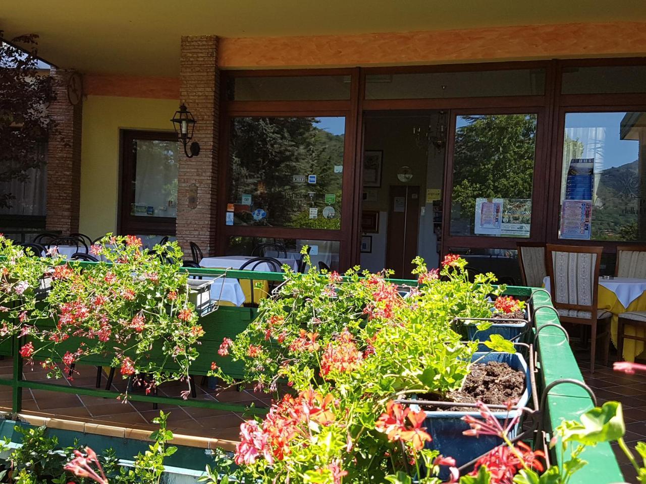 德拉丰特公园酒店 Vallio Terme 外观 照片